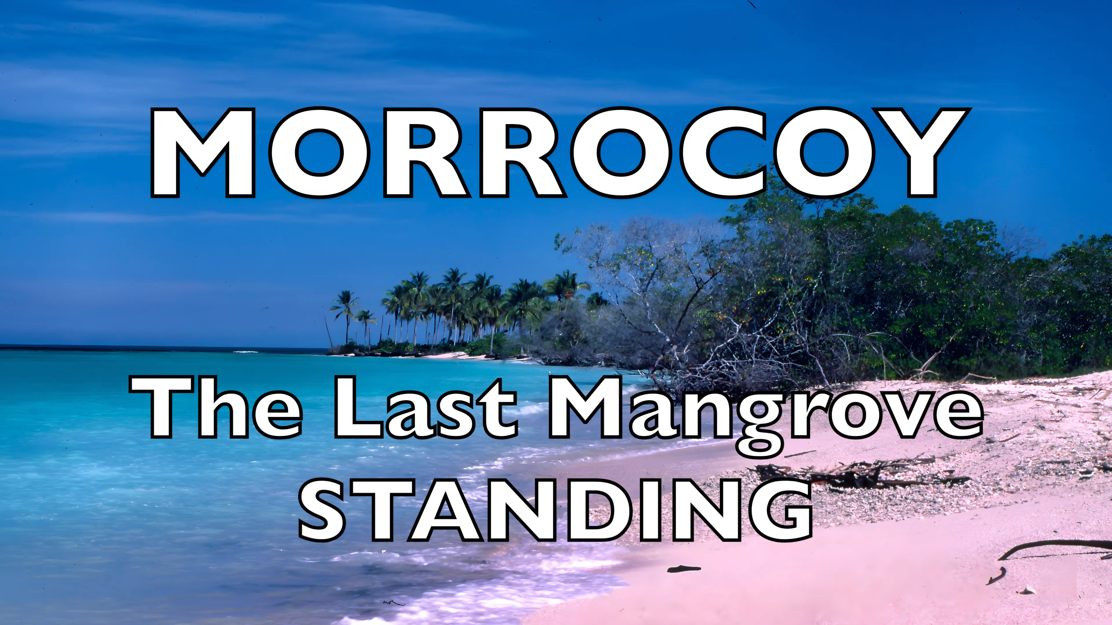 Morrocoy: The Last Mangrove Standing poster